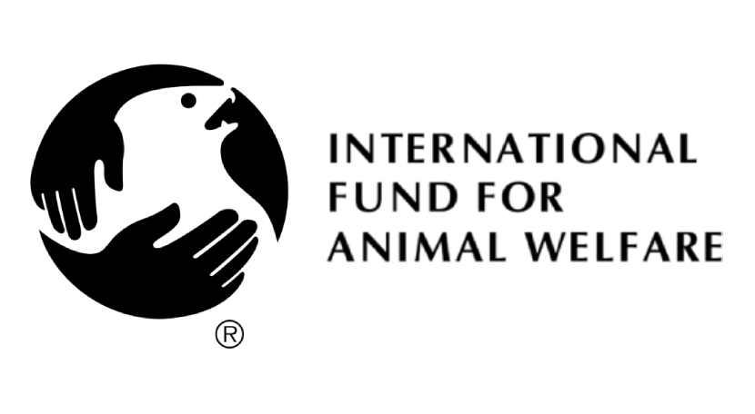 ifaw-solutions-8